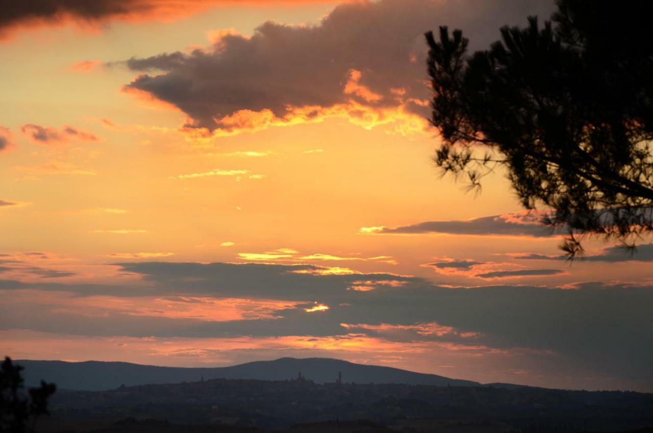 Podere Il Granaio - Crete Senesi - Tuscany Siena Eksteriør bilde