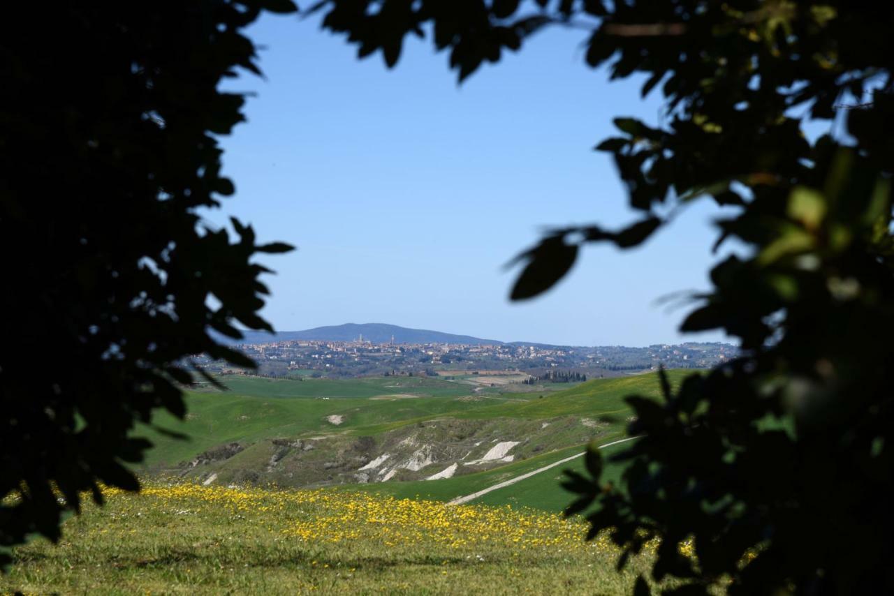 Podere Il Granaio - Crete Senesi - Tuscany Siena Eksteriør bilde