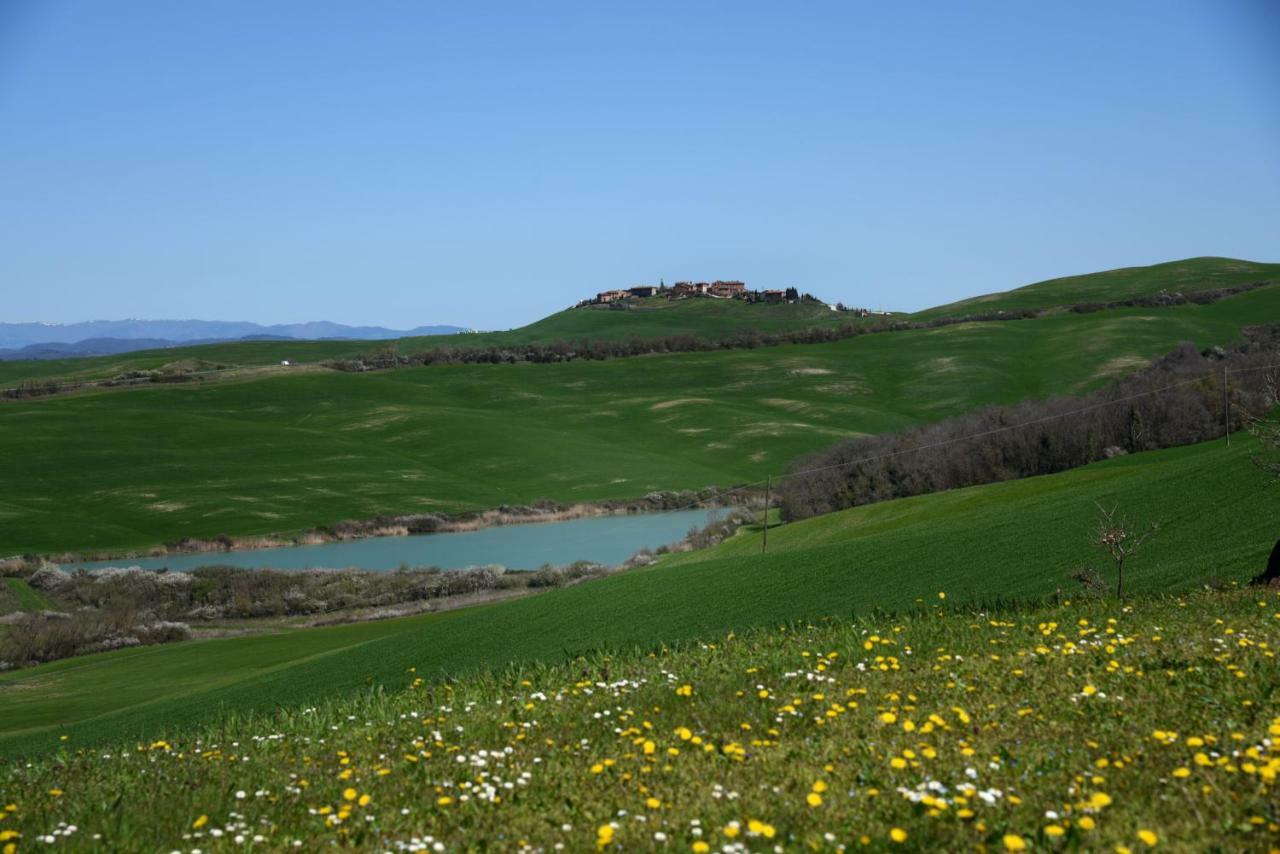 Podere Il Granaio - Crete Senesi - Tuscany Siena Eksteriør bilde