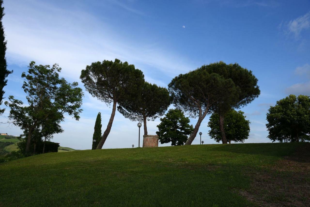 Podere Il Granaio - Crete Senesi - Tuscany Siena Eksteriør bilde